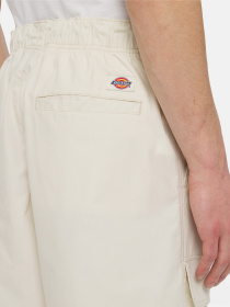 Шорти Dickies Fishersville Cargo модель DK0A4YSIF901 Фото