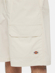 Шорти Dickies Fishersville Cargo модель DK0A4YSIF901 Фото