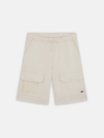 Шорти Dickies Fishersville Cargo модель DK0A4YSIF901 Фото