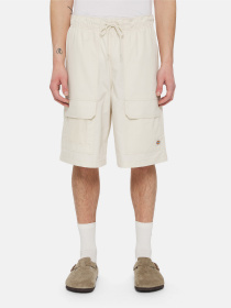 Шорти Dickies Fishersville Cargo модель DK0A4YSIF901 Фото