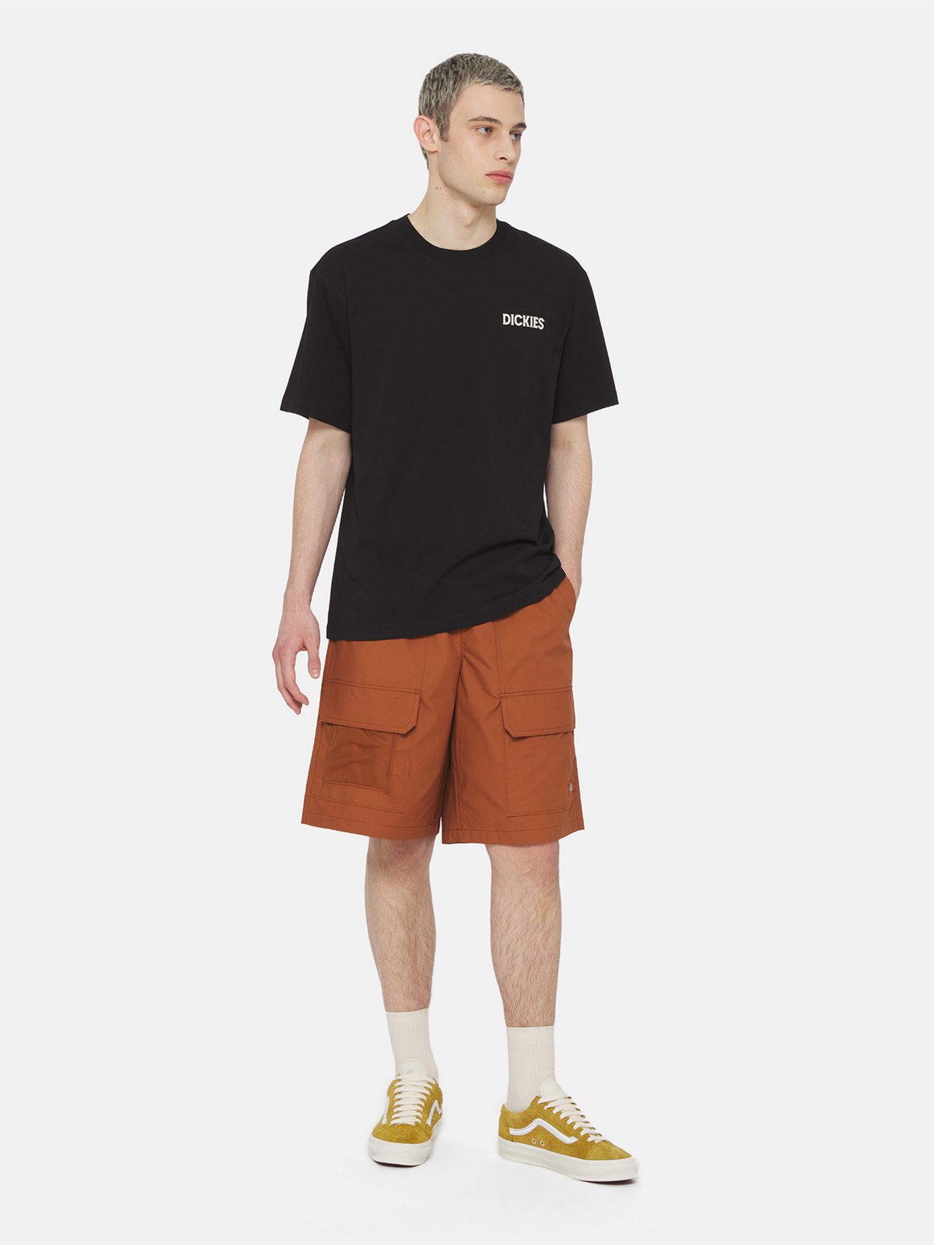 Шорти Dickies Fishersville Cargo модель DK0A4YSIH161 Фото