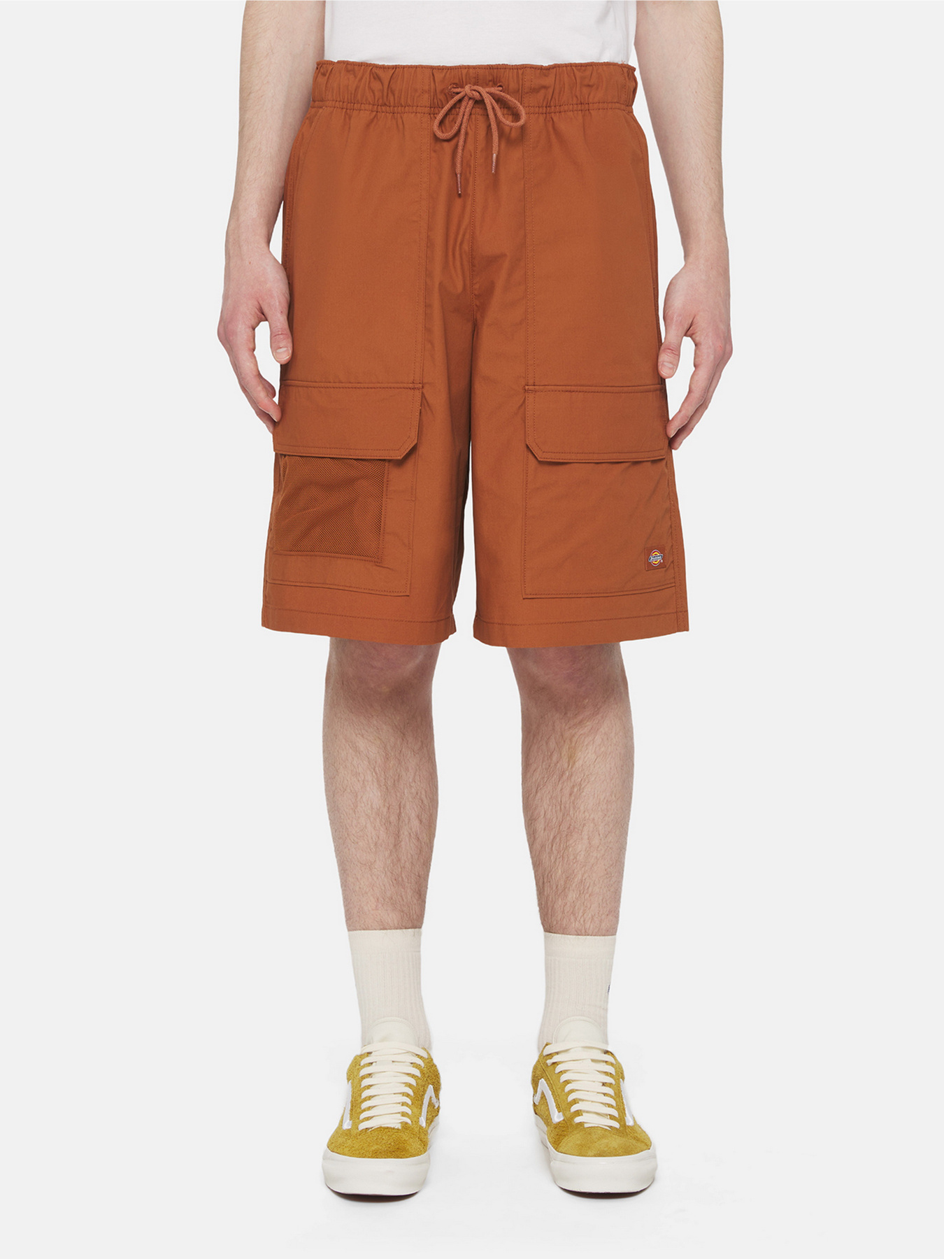Шорти Dickies Fishersville Cargo модель DK0A4YSIH161 Фото