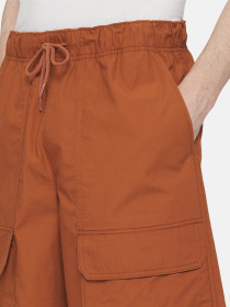 Шорти Dickies Fishersville Cargo модель DK0A4YSIH161 Фото
