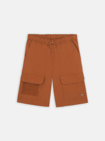 Шорти Dickies Fishersville Cargo модель DK0A4YSIH161 Фото