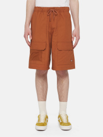 Шорти Dickies Fishersville Cargo модель DK0A4YSIH161 Фото
