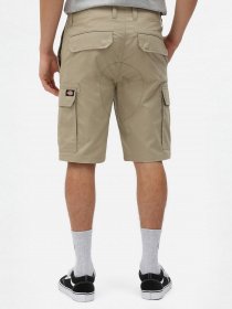 Шорти Dickies Millerville модель DK0A4XEDKHK1 Фото