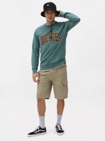 Шорти Dickies Millerville модель DK0A4XEDKHK1 Фото