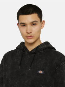 Худи и свитшоты Dickies Neington модель DK0A4YYOH861 Фото