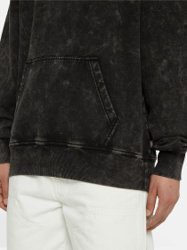 Худи и свитшоты Dickies Neington модель DK0A4YYOH861 Фото