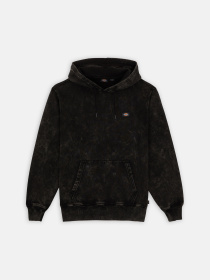 Худи и свитшоты Dickies Neington модель DK0A4YYOH861 Фото