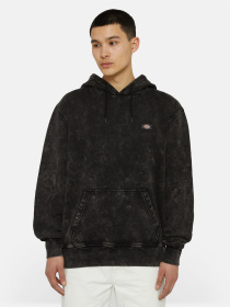 Худи и свитшоты Dickies Neington модель DK0A4YYOH861 Фото