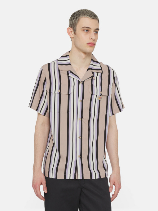 Сорочки Dickies Forest Ss модель DK0A4YYSSS01 Фото