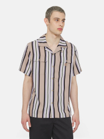 Сорочки Dickies Forest Ss модель DK0A4YYSSS01 Фото