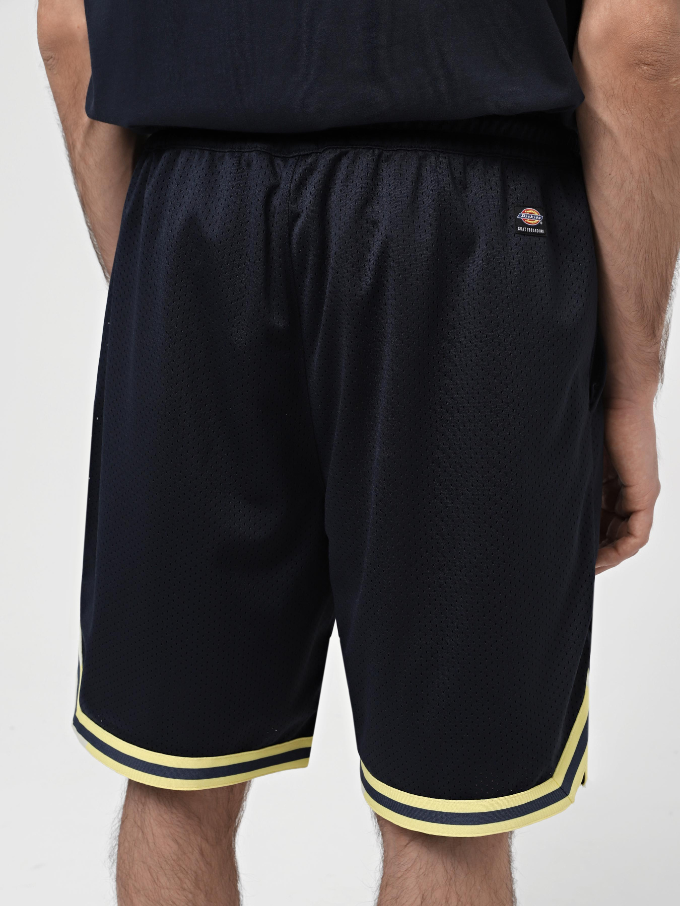 Шорти Dickies Guy Mariano Mesh модель DK0A4YZ2DNX1 Фото