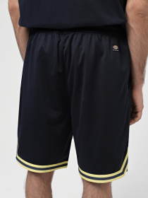 Шорти Dickies Guy Mariano Mesh модель DK0A4YZ2DNX1 Фото