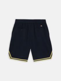 Шорти Dickies Guy Mariano Mesh модель DK0A4YZ2DNX1 Фото