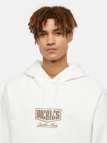 Худи и свитшоты Dickies Philipsburg модель DK0A85SSC581 Фото