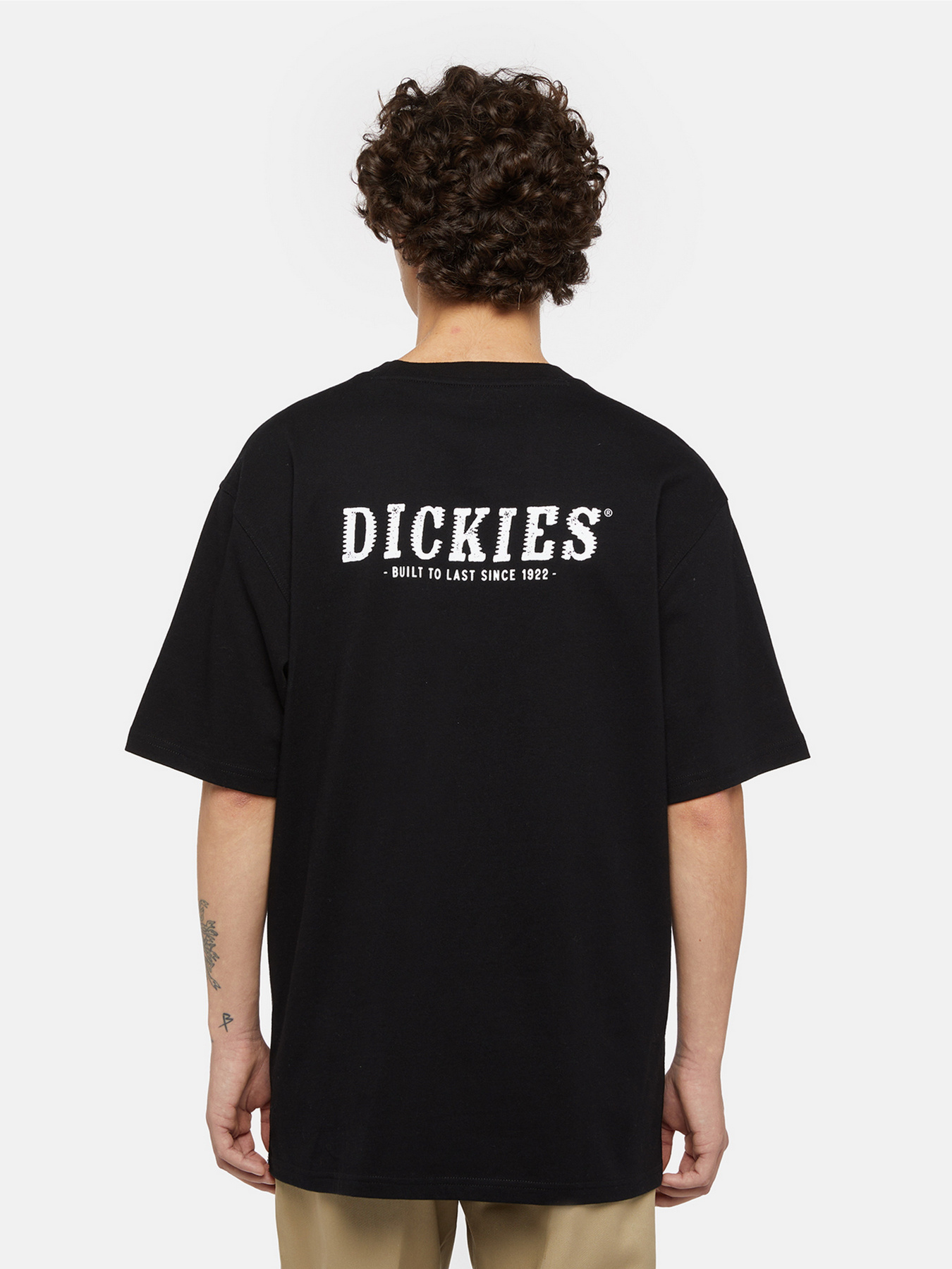 Футболки и поло Dickies Dickies Script модель DK0A863DBLK1 Фото