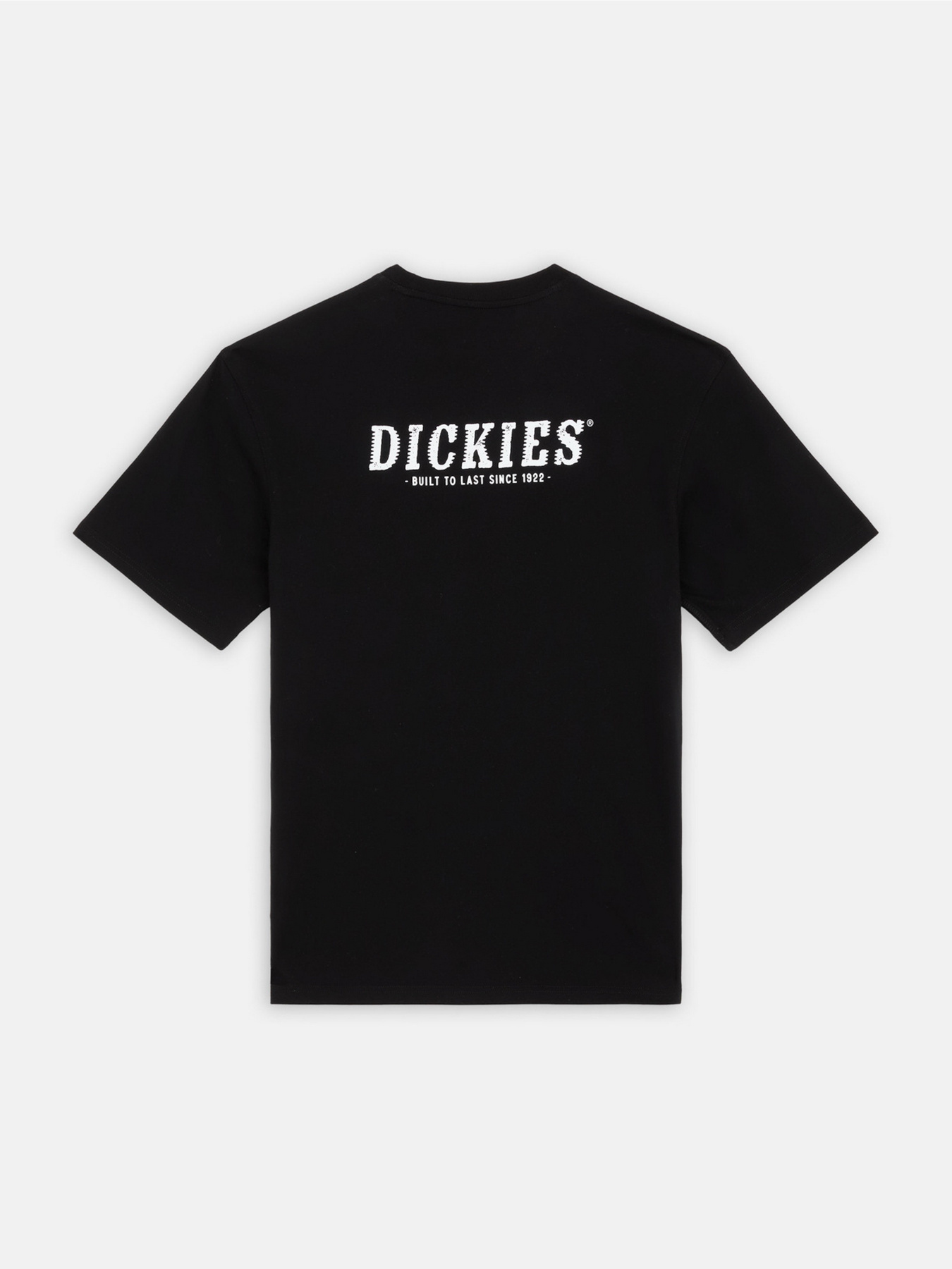 Футболки и поло Dickies Dickies Script модель DK0A863DBLK1 Фото