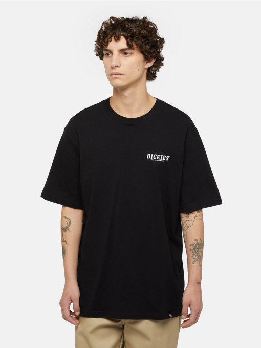Футболки и поло Dickies Dickies Script модель DK0A863DBLK1 Фото