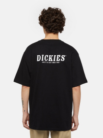 Футболки и поло Dickies Dickies Script модель DK0A863DBLK1 Фото