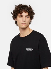 Футболки и поло Dickies Dickies Script модель DK0A863DBLK1 Фото
