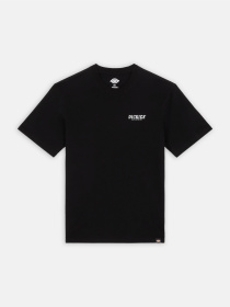 Футболки и поло Dickies Dickies Script модель DK0A863DBLK1 Фото