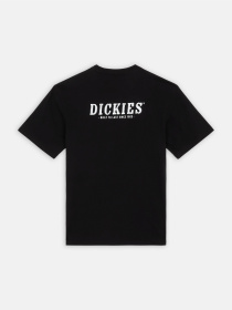 Футболки и поло Dickies Dickies Script модель DK0A863DBLK1 Фото