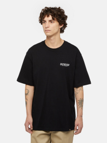 Футболки и поло Dickies Dickies Script модель DK0A863DBLK1 Фото