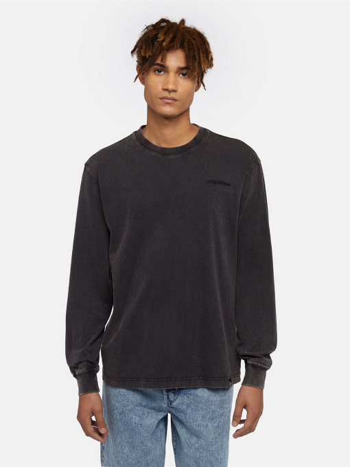 Худи и свитшоты Dickies Plentywood модель DK0A866CH861 Фото