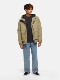 Худі та світшоти Dickies Plentywood модель DK0A866CH861 Фото