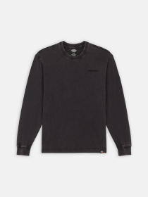 Худі та світшоти Dickies Plentywood модель DK0A866CH861 Фото