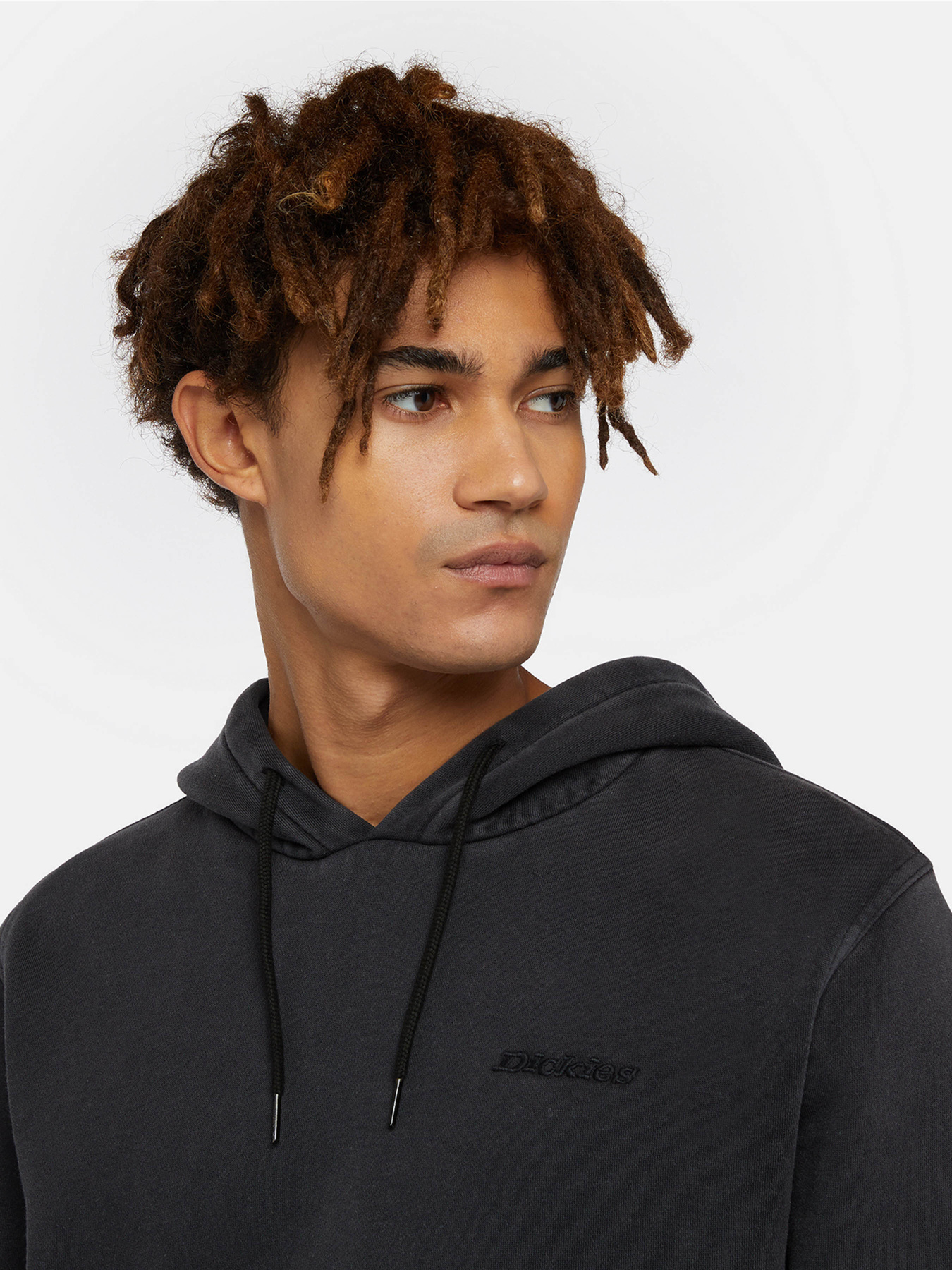 Худі та світшоти Dickies Plentywood модель DK0A866DBLK1 Фото