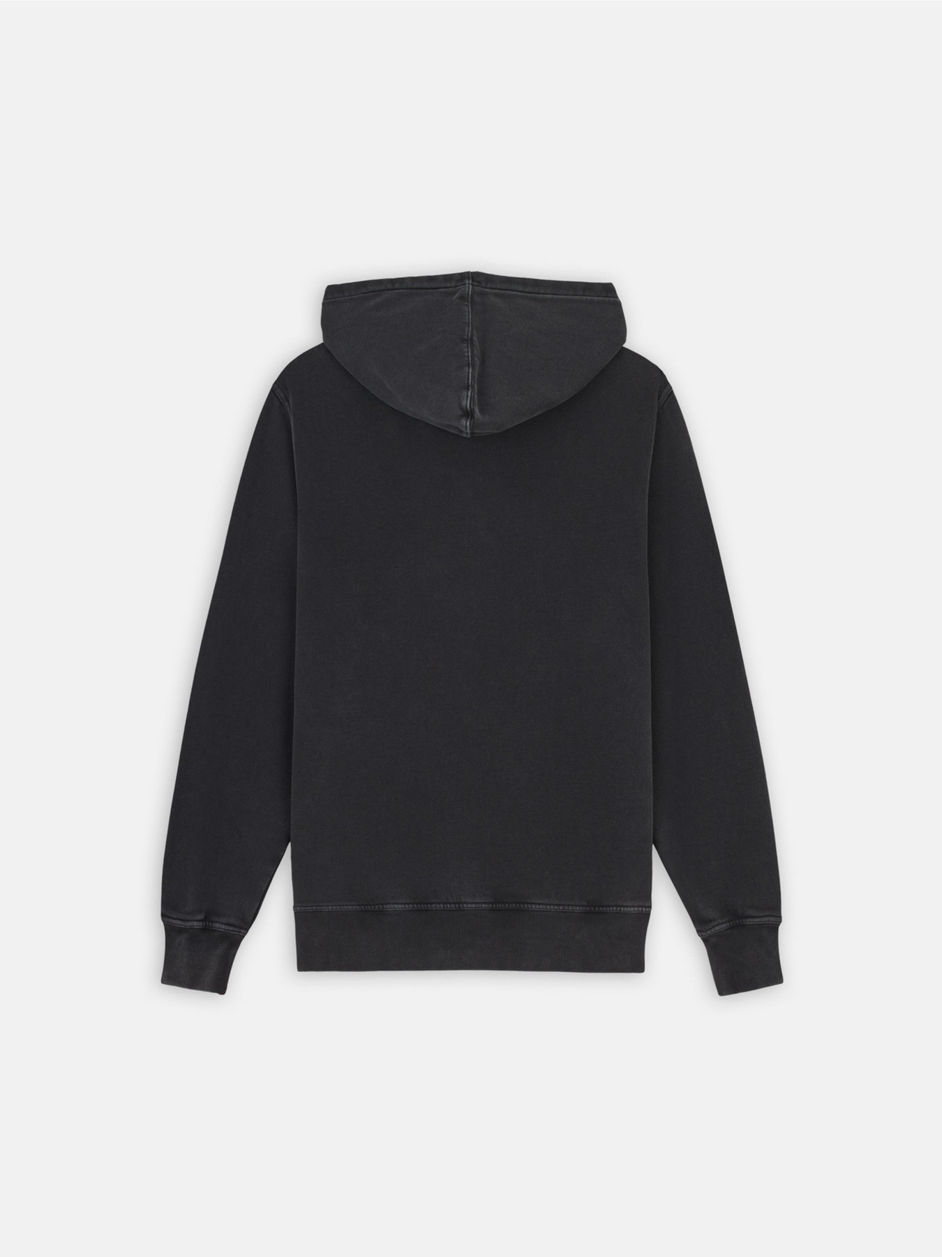 Худі та світшоти Dickies Plentywood модель DK0A866DBLK1 Фото