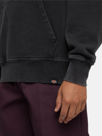Худі та світшоти Dickies Plentywood модель DK0A866DBLK1 Фото