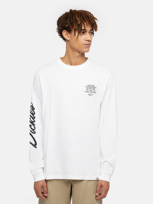 Худи и свитшоты Dickies Graphic модель DK0A85SW0WH1 Фото