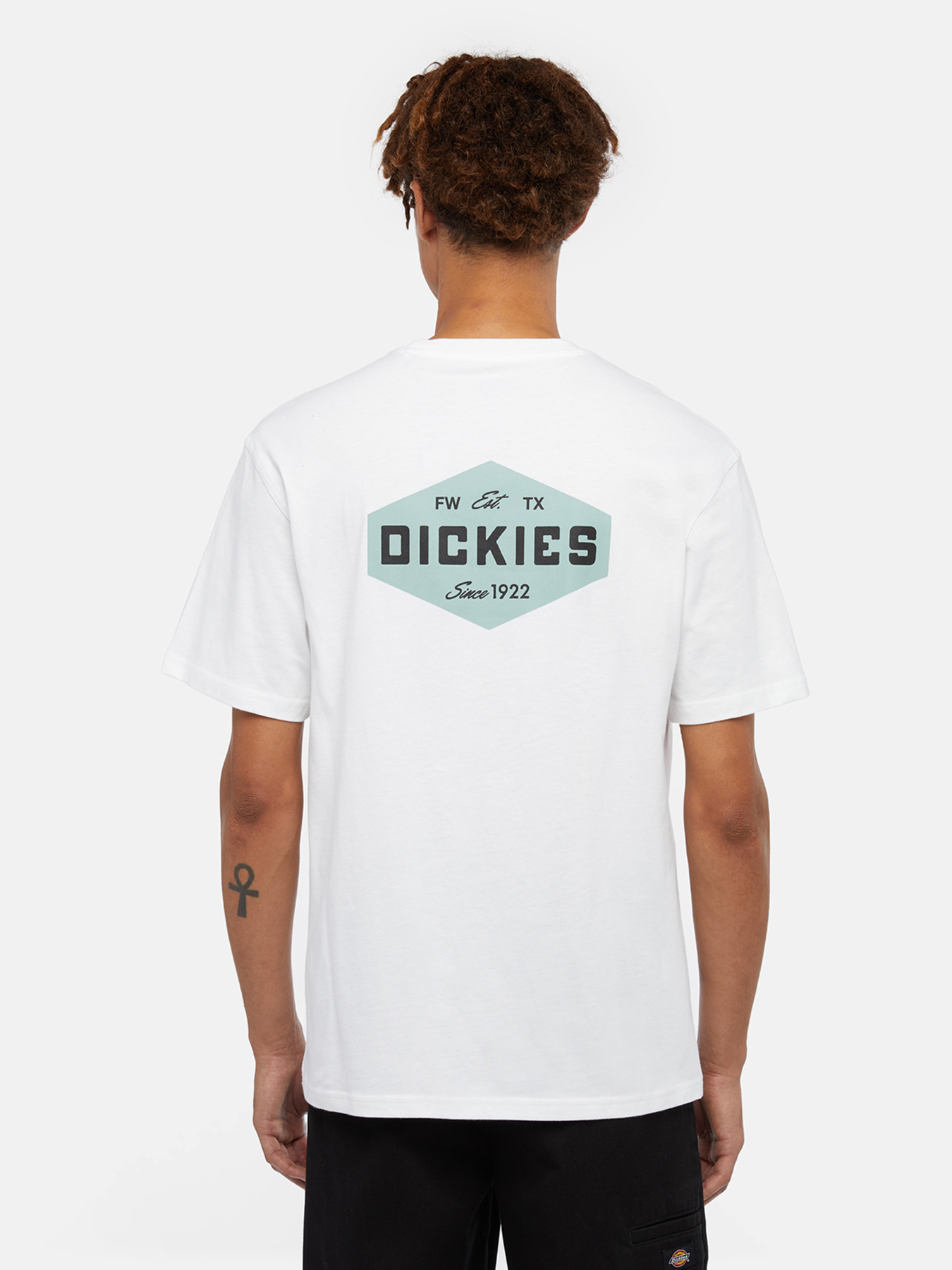 Футболки і поло Dickies Graphic модель DK0A863E0WH1 Фото