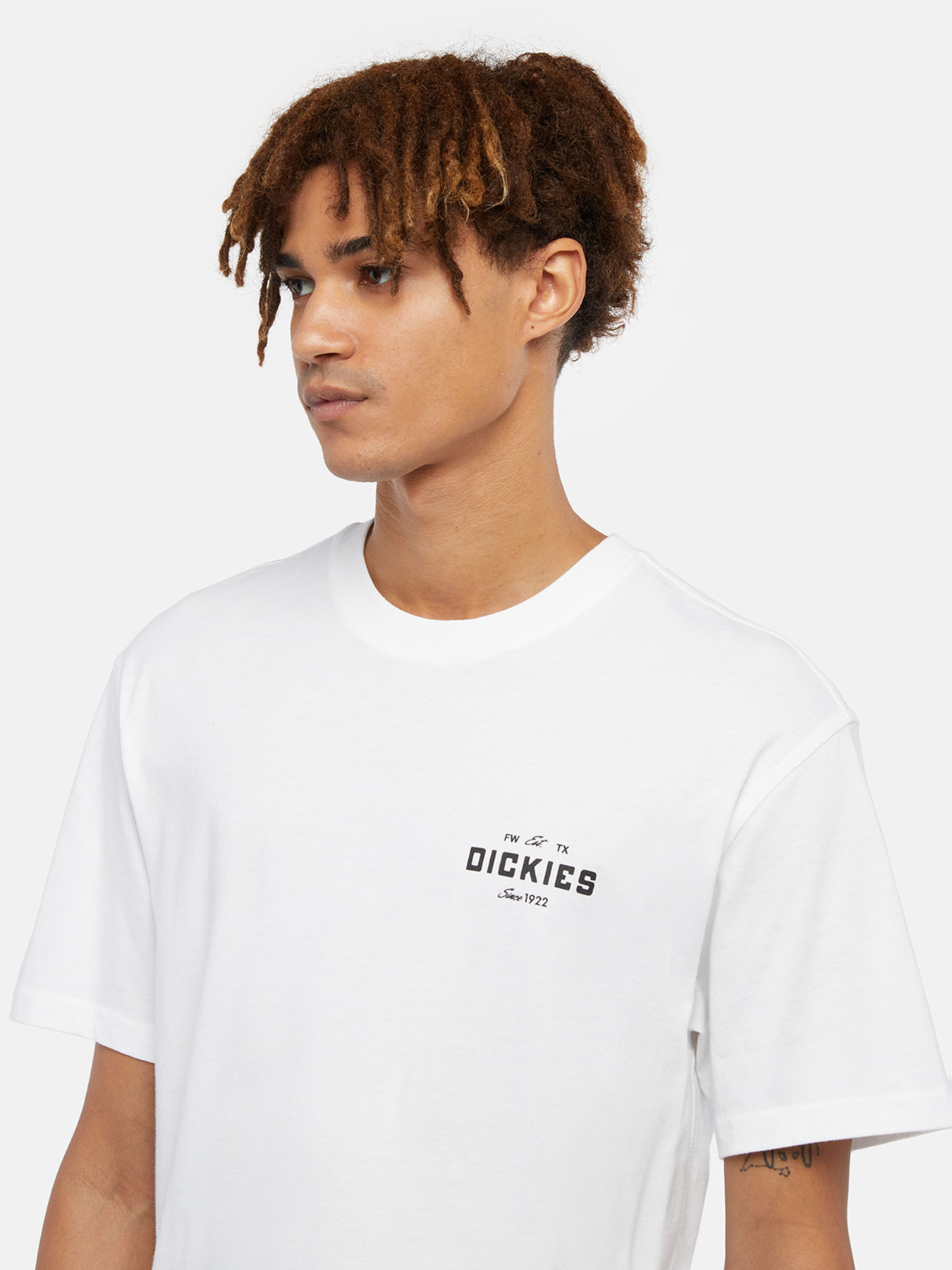 Футболки і поло Dickies Graphic модель DK0A863E0WH1 Фото