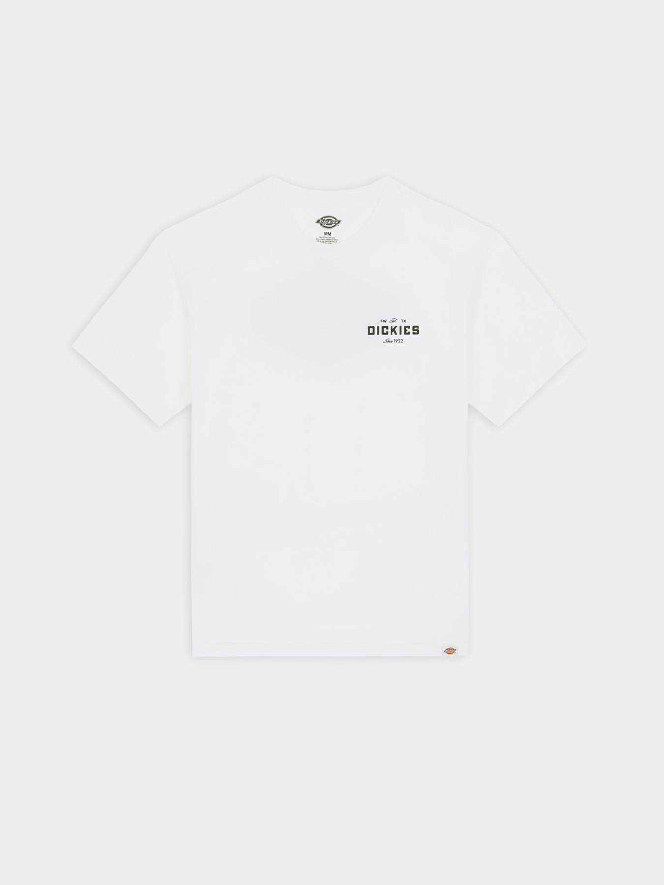 Футболки і поло Dickies Graphic модель DK0A863E0WH1 Фото
