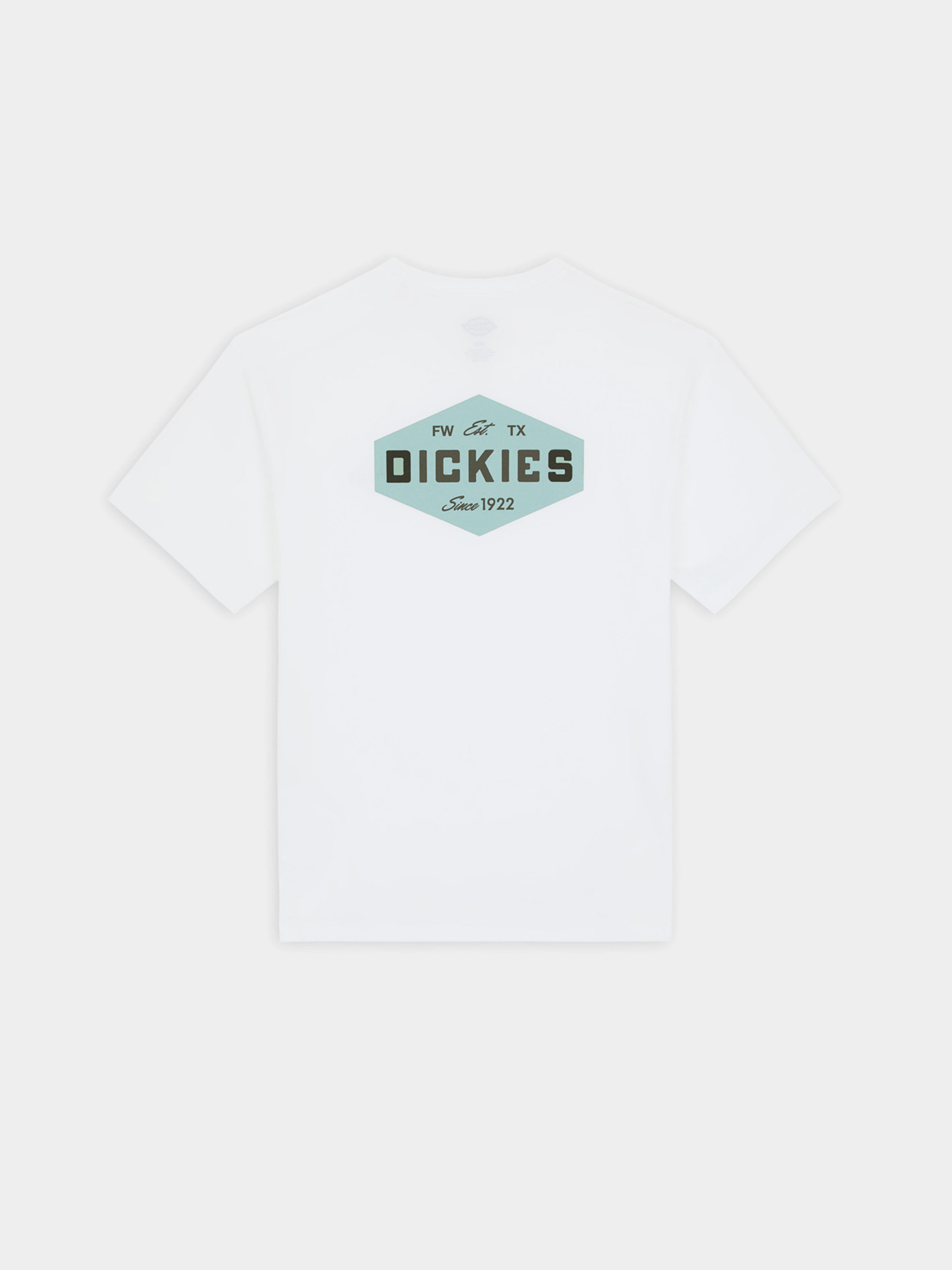 Футболки і поло Dickies Graphic модель DK0A863E0WH1 Фото