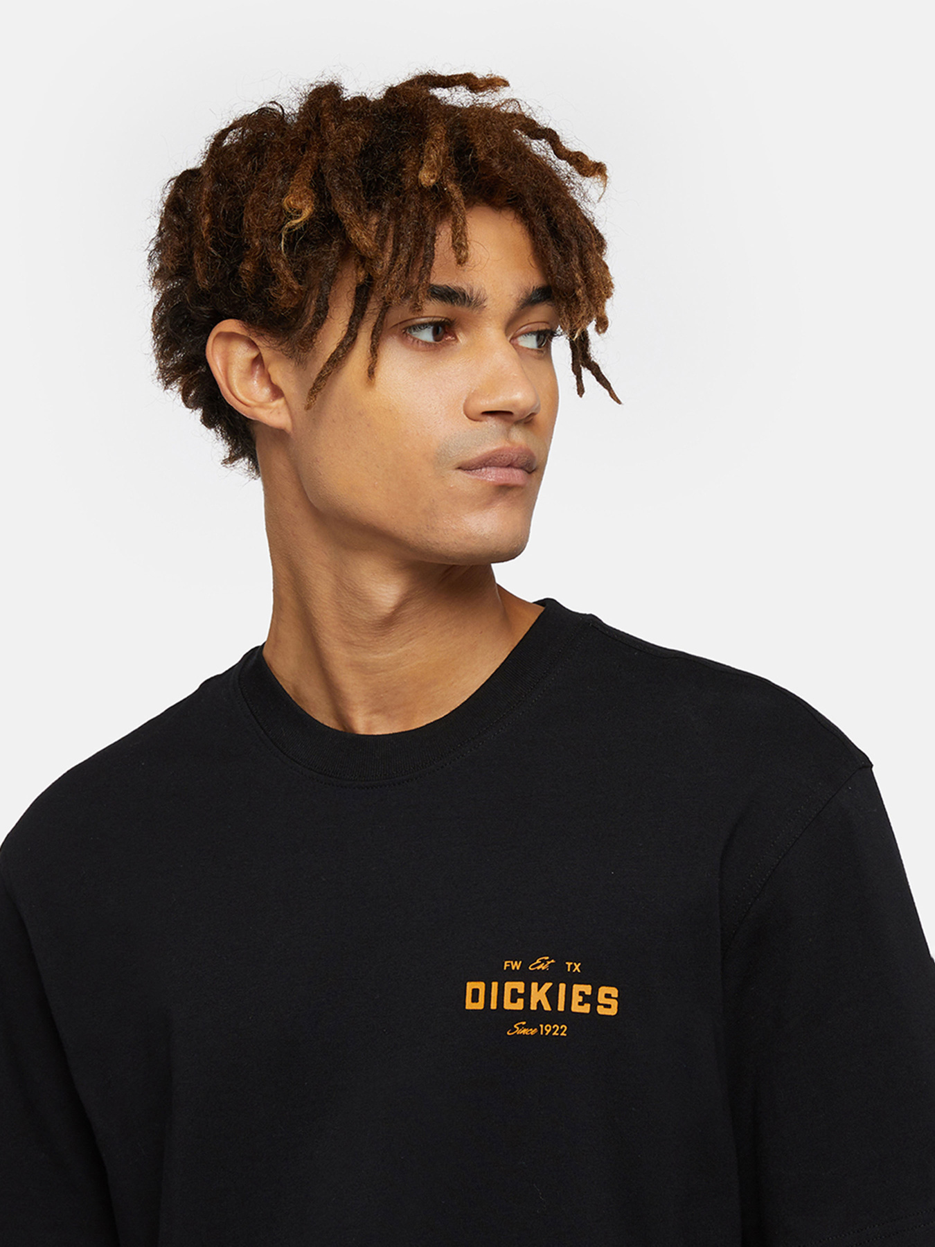 Футболки и поло Dickies Emblem модель DK0A863EBLK1 Футболки и поло Dickies Emblem модель DK0A863EBLK1 Фото