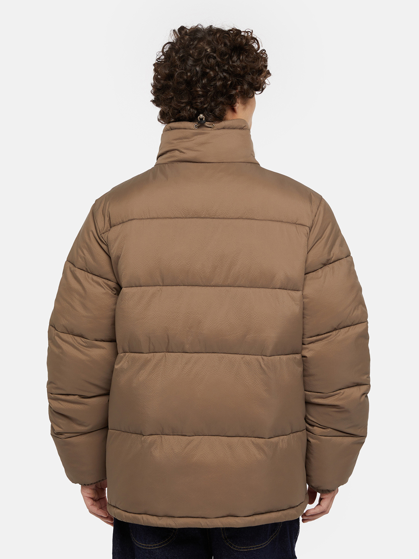 Куртки и дубленки Dickies Waldenburg модель DK0A4XP2MR11 Фото
