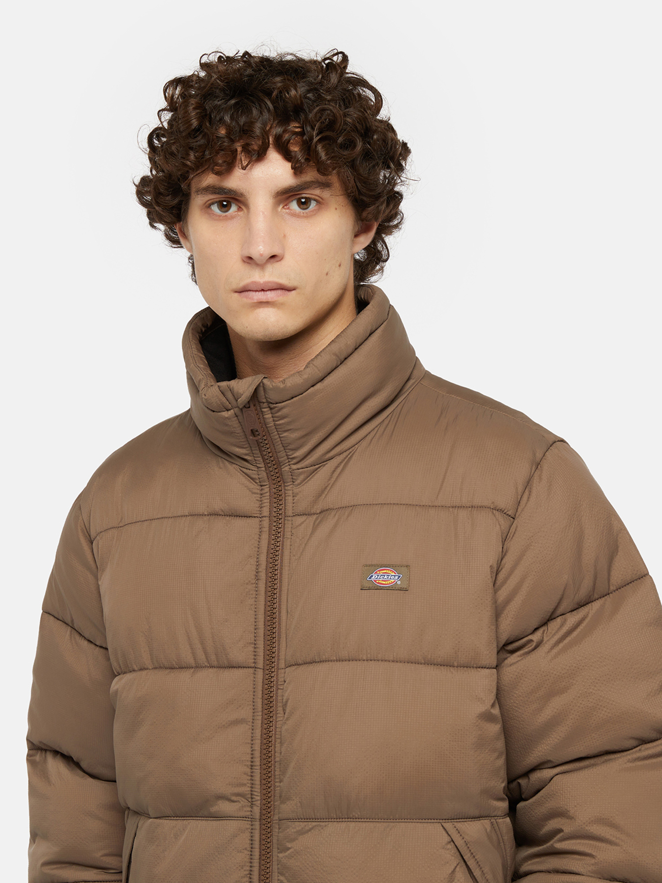 Куртки и дубленки Dickies Waldenburg модель DK0A4XP2MR11 Фото