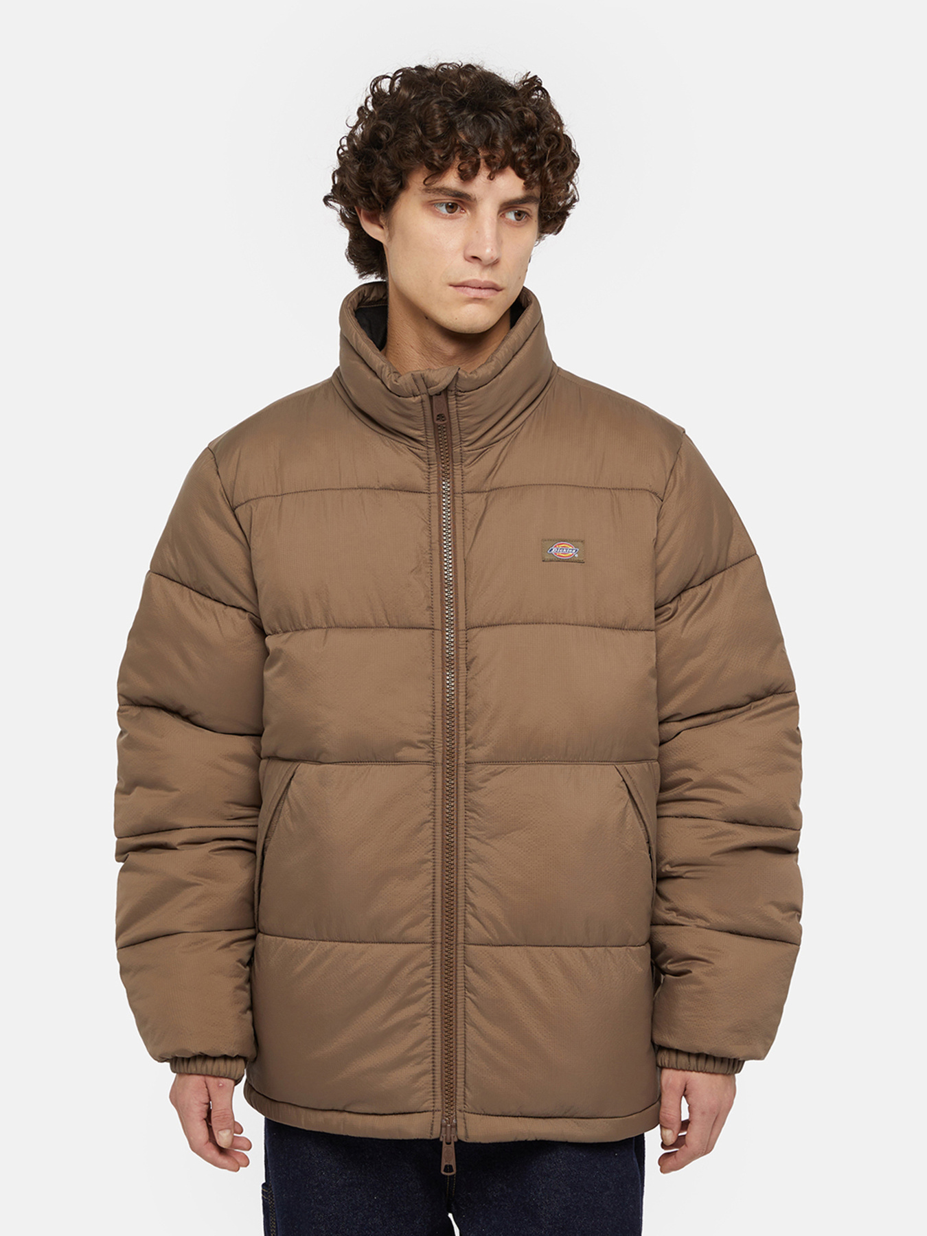 Куртки и дубленки Dickies Waldenburg модель DK0A4XP2MR11 Фото