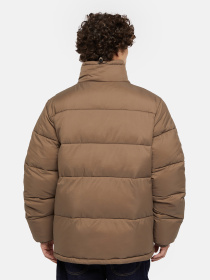 Куртки и дубленки Dickies Waldenburg модель DK0A4XP2MR11 Фото