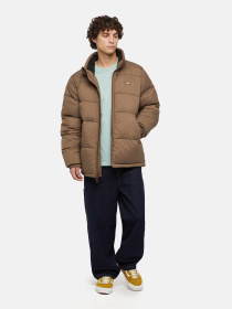 Куртки и дубленки Dickies Waldenburg модель DK0A4XP2MR11 Фото