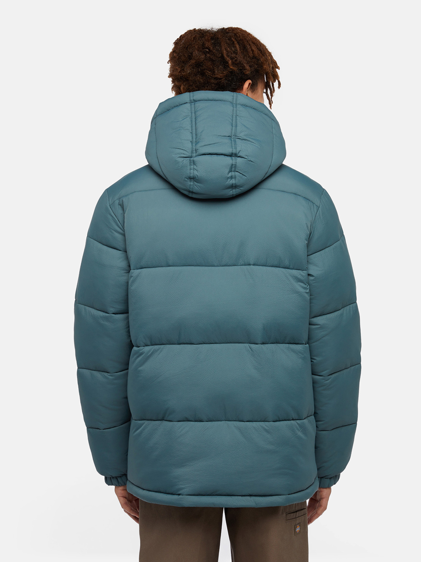 Куртки та дублянки Dickies Waldenburg модель DK0A4YEY0LN1 Фото