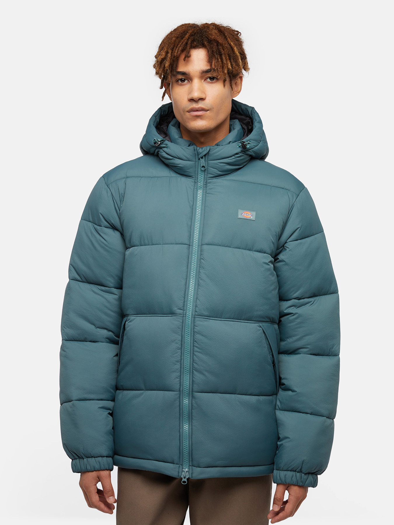 Куртки та дублянки Dickies Waldenburg модель DK0A4YEY0LN1 Фото