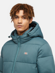 Куртки та дублянки Dickies Waldenburg модель DK0A4YEY0LN1 Фото