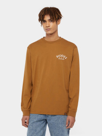 Худи и свитшоты Dickies Trego модель DK0A4Z3O0BD1 Фото